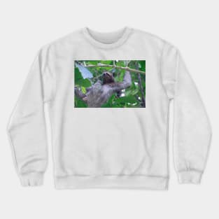 Three Toed Sloth Climbing Crewneck Sweatshirt